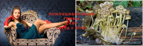 метадон Алексин