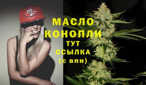 молекула духа Нязепетровск